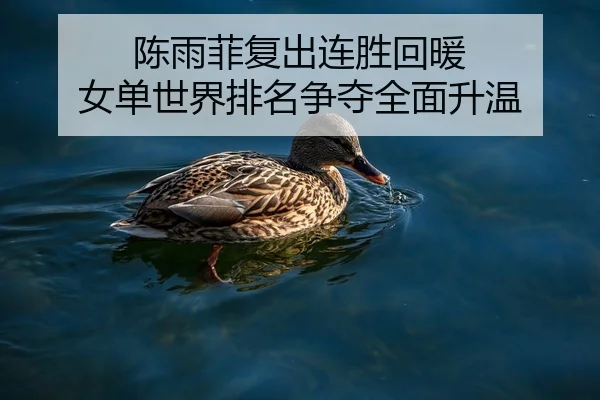 陈雨菲复出连胜回暖 女单世界排名争夺全面升温